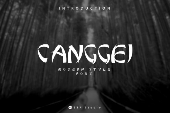 Canggei: A Chic Display Font for Creative Projects
