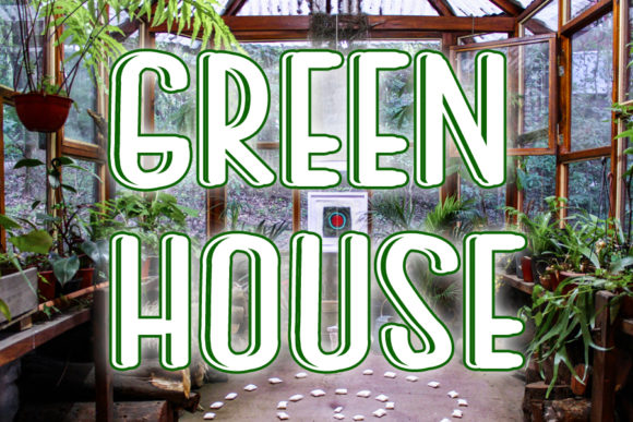 Green House: A Bold Font for Creative Projects