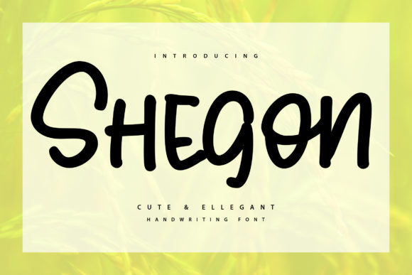 Shegoon: A Bold Display Font for Editorial Design